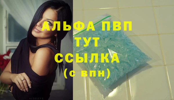 эйфоретик Белокуриха