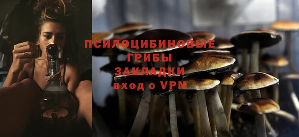 эйфоретик Белокуриха