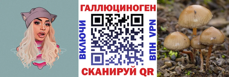 ссылка на мегу ТОР  Воткинск  Псилоцибиновые грибы ЛСД 
